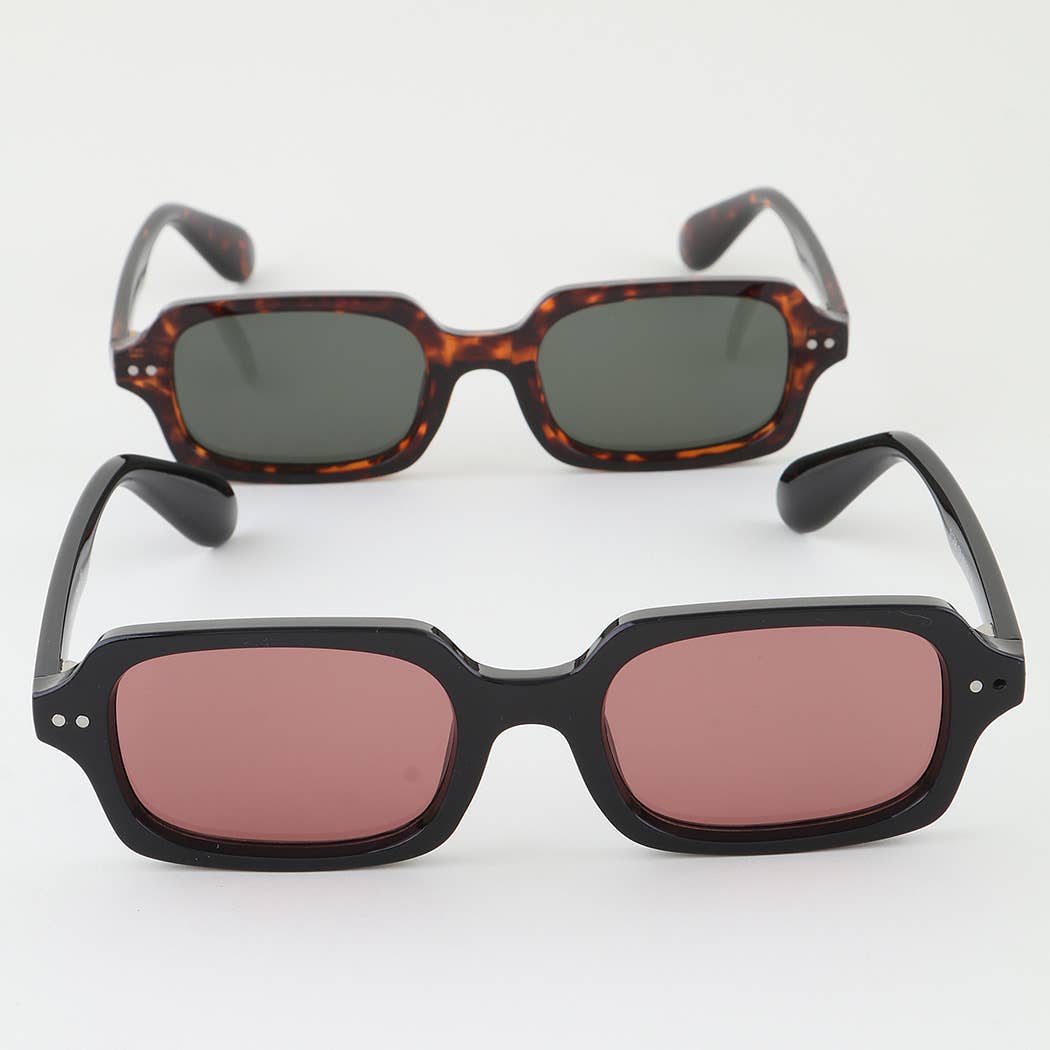 Double Bolted Classic Tinted Sunglasses