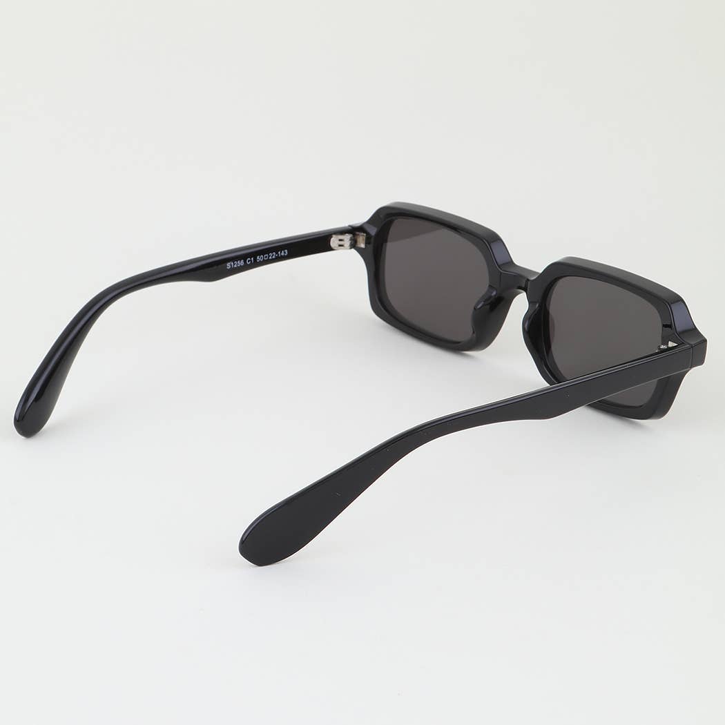Double Bolted Classic Tinted Sunglasses