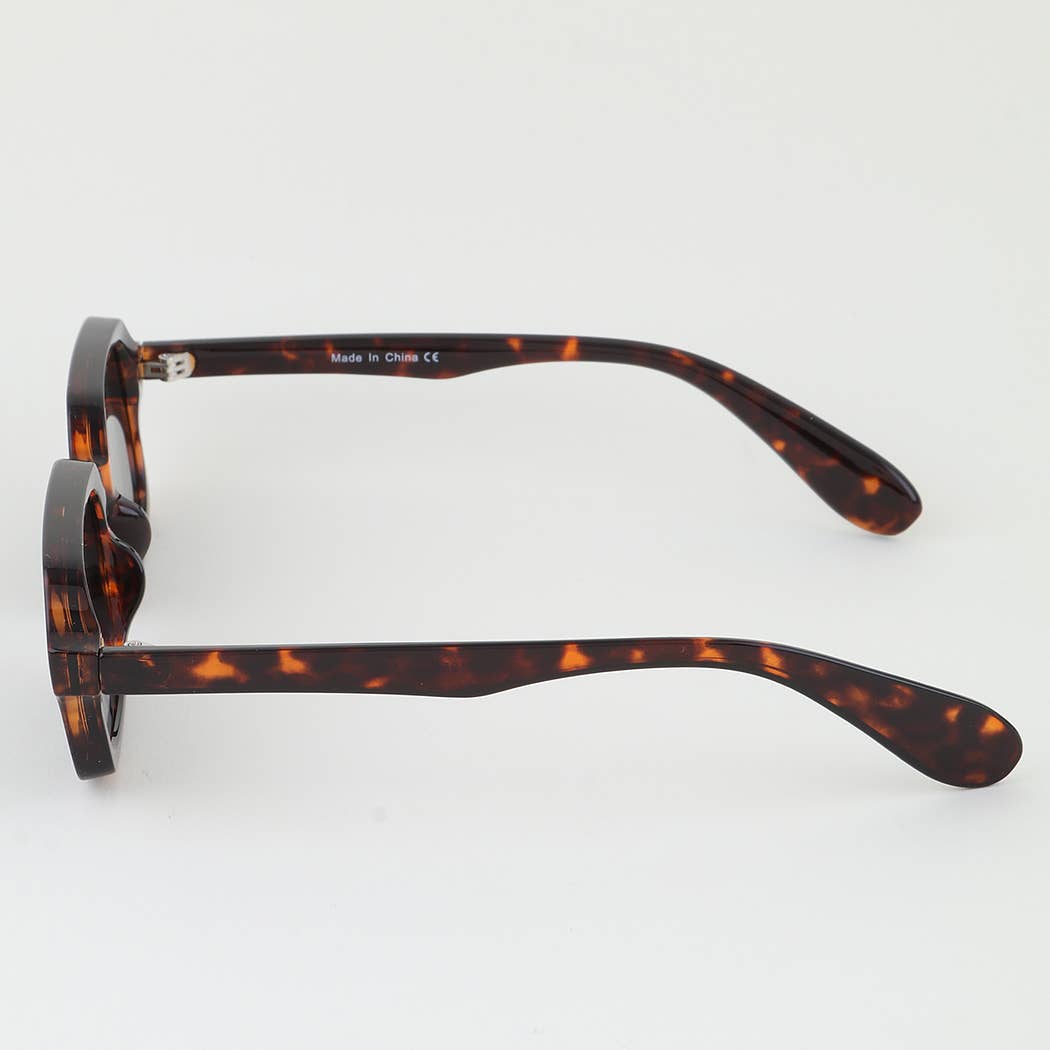Double Bolted Classic Tinted Sunglasses